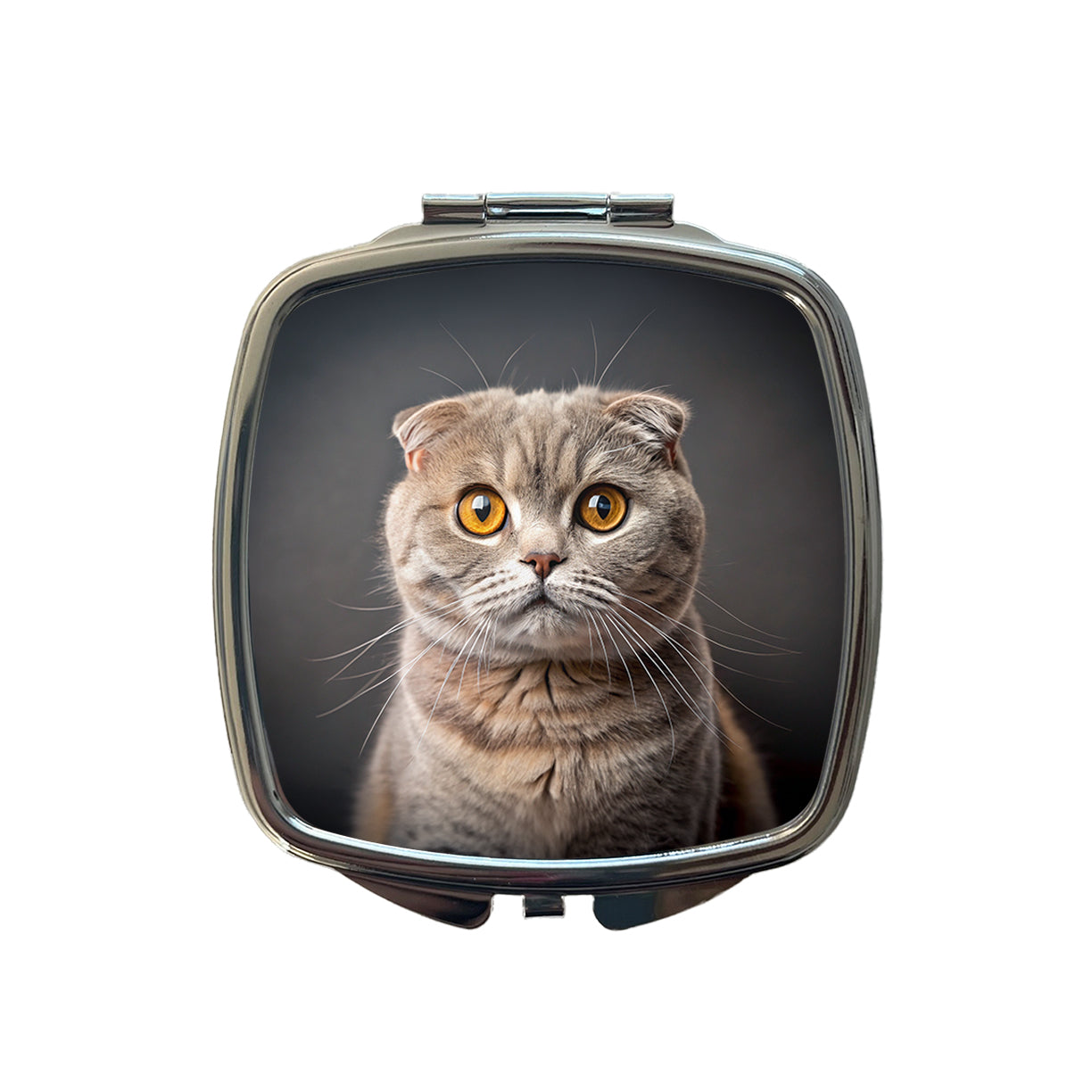 Scottish Fold Cat Photo Small Travel Purse Handbag Pocket Makeup Compact Mirror