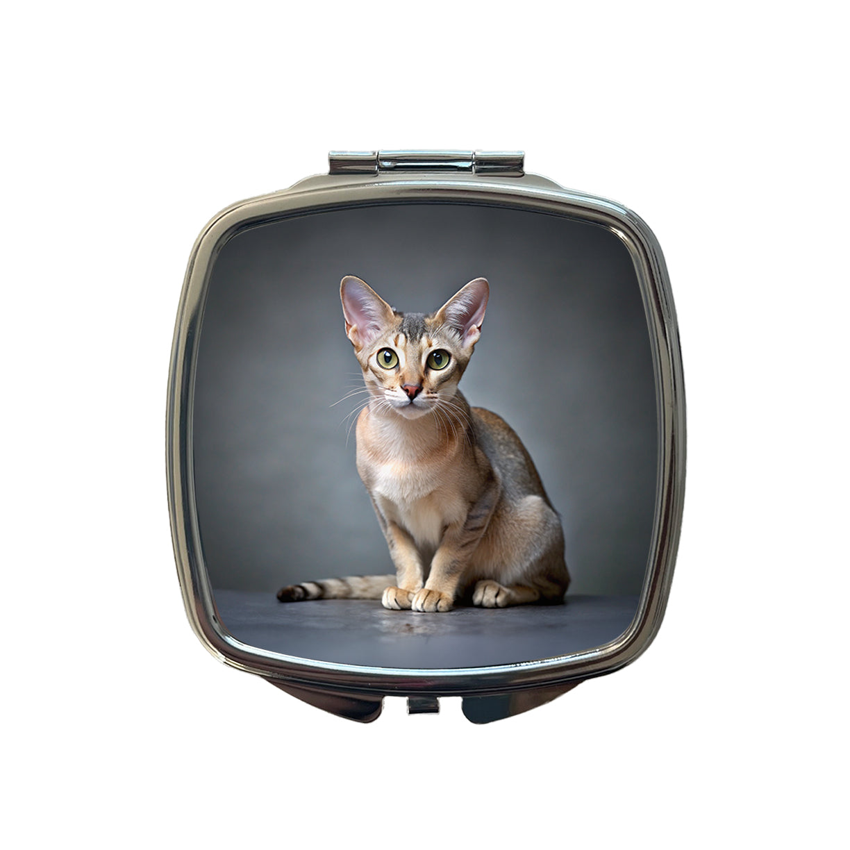 Singapura Cat Photo Small Travel Purse Handbag Pocket Makeup Compact Mirror