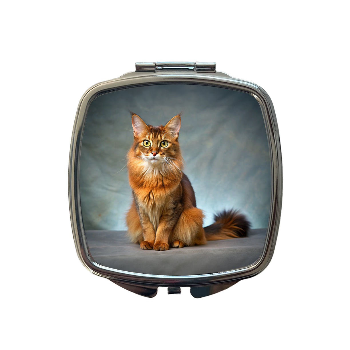 Somali Cat Kitten Photo Small Travel Purse Handbag Pocket Makeup Compact Mirror