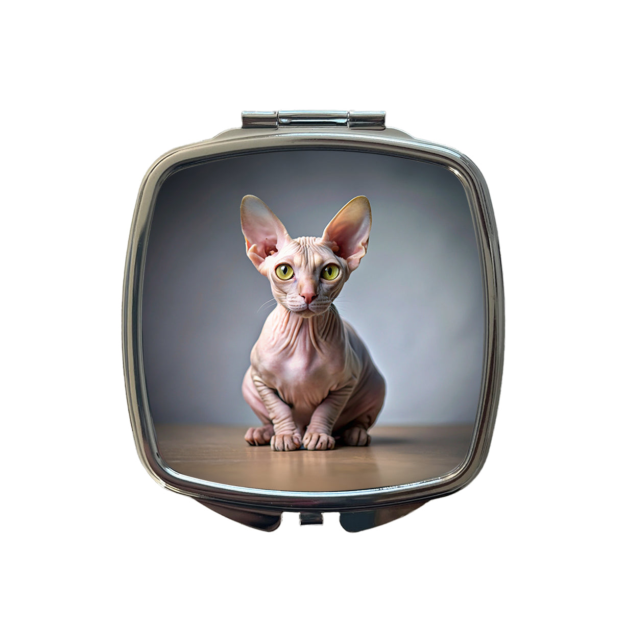 Sphynx Cat Photo Small Travel Purse Handbag Pocket Makeup Compact Mirror