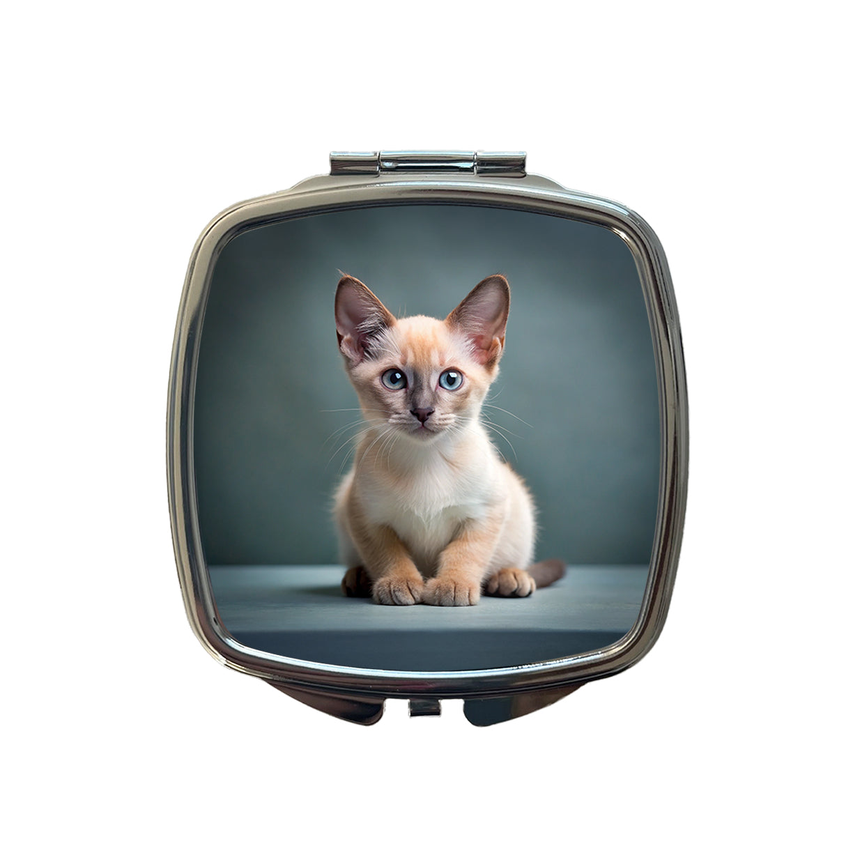 Tonkinese Cat Kitten Photo Small Travel Purse Handbag Pocket Makeup Compact Mirror