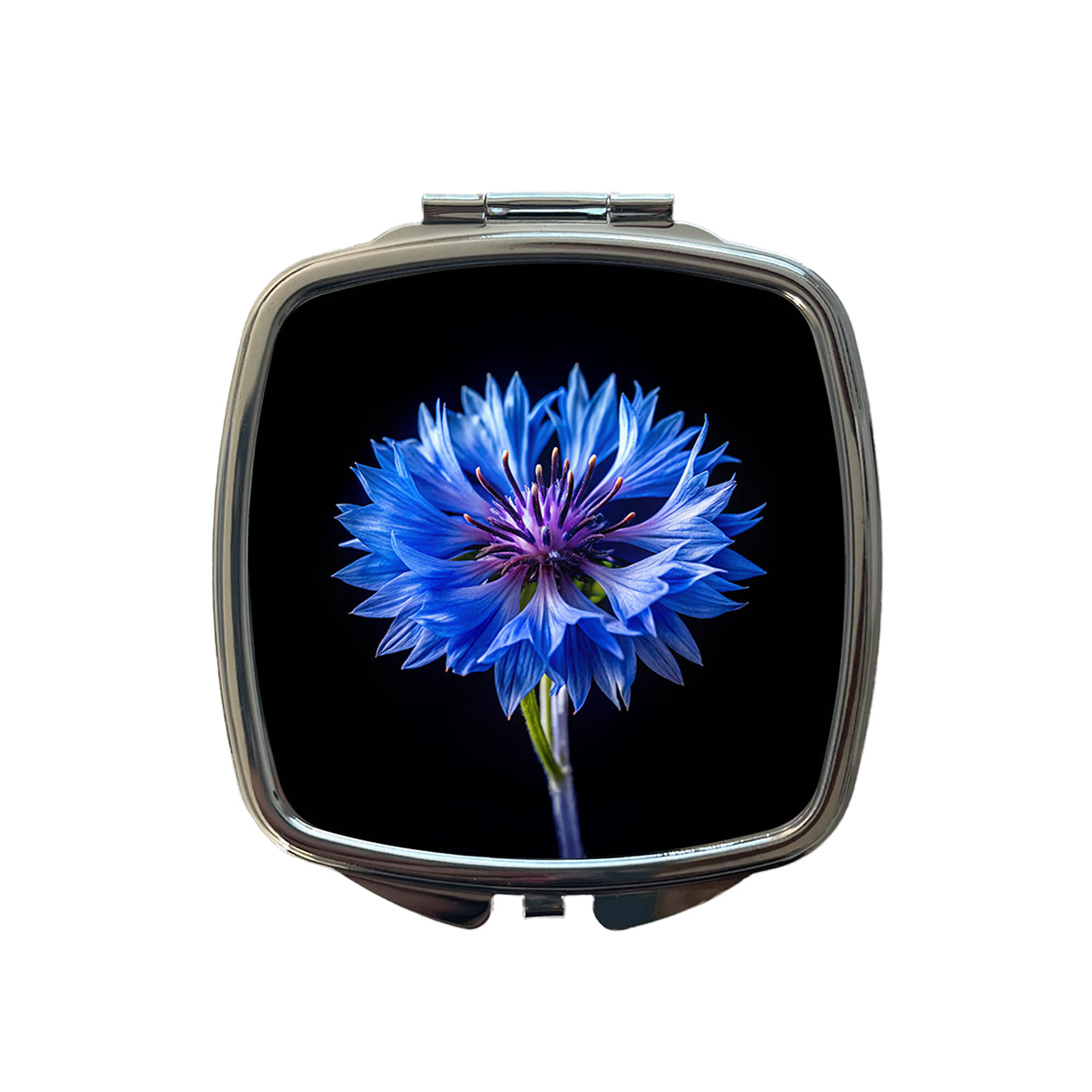 Blue Cornflower Photo Small Travel Purse Handbag Pocket Makeup Compact Mirror