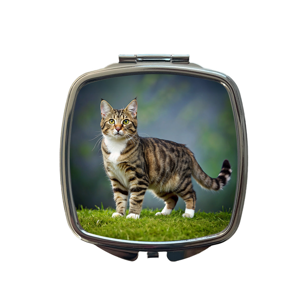 Cute Tabby Cat Photo Small Travel Purse Handbag Pocket Makeup Compact Mirror