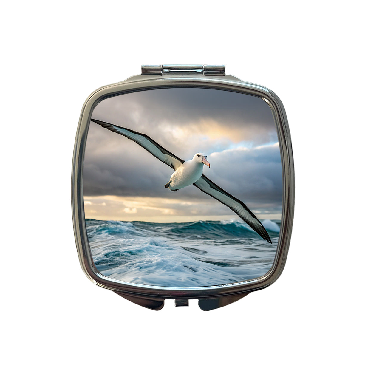 Albatross Bird Photo Small Travel Purse Handbag Pocket Makeup Compact Mirror