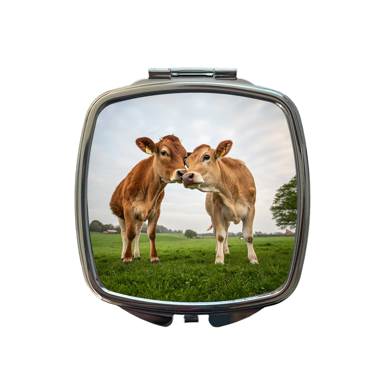 Cows Nuzzle Love Small Travel Purse Handbag Pocket Makeup Compact Mirror