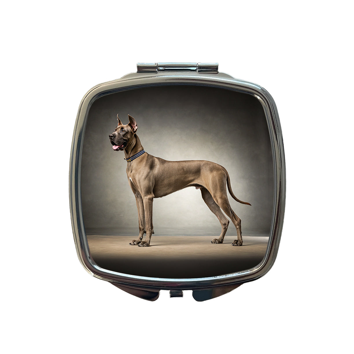 Great Dane Standing Photo Small Travel Purse Handbag Pocket Makeup Compact Mirror