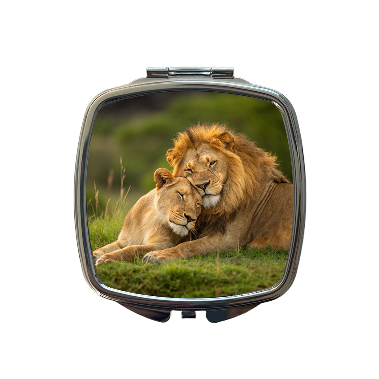 Lions Hugging Love Small Travel Purse Handbag Pocket Makeup Compact Mirror