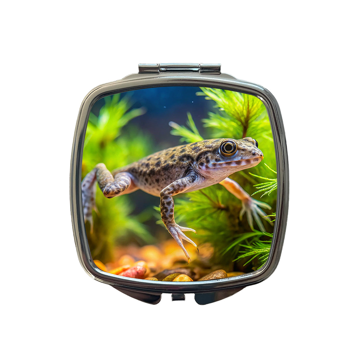 African Dwarf Frog Swimming Small Travel Purse Handbag Pocket Makeup Compact Mirror