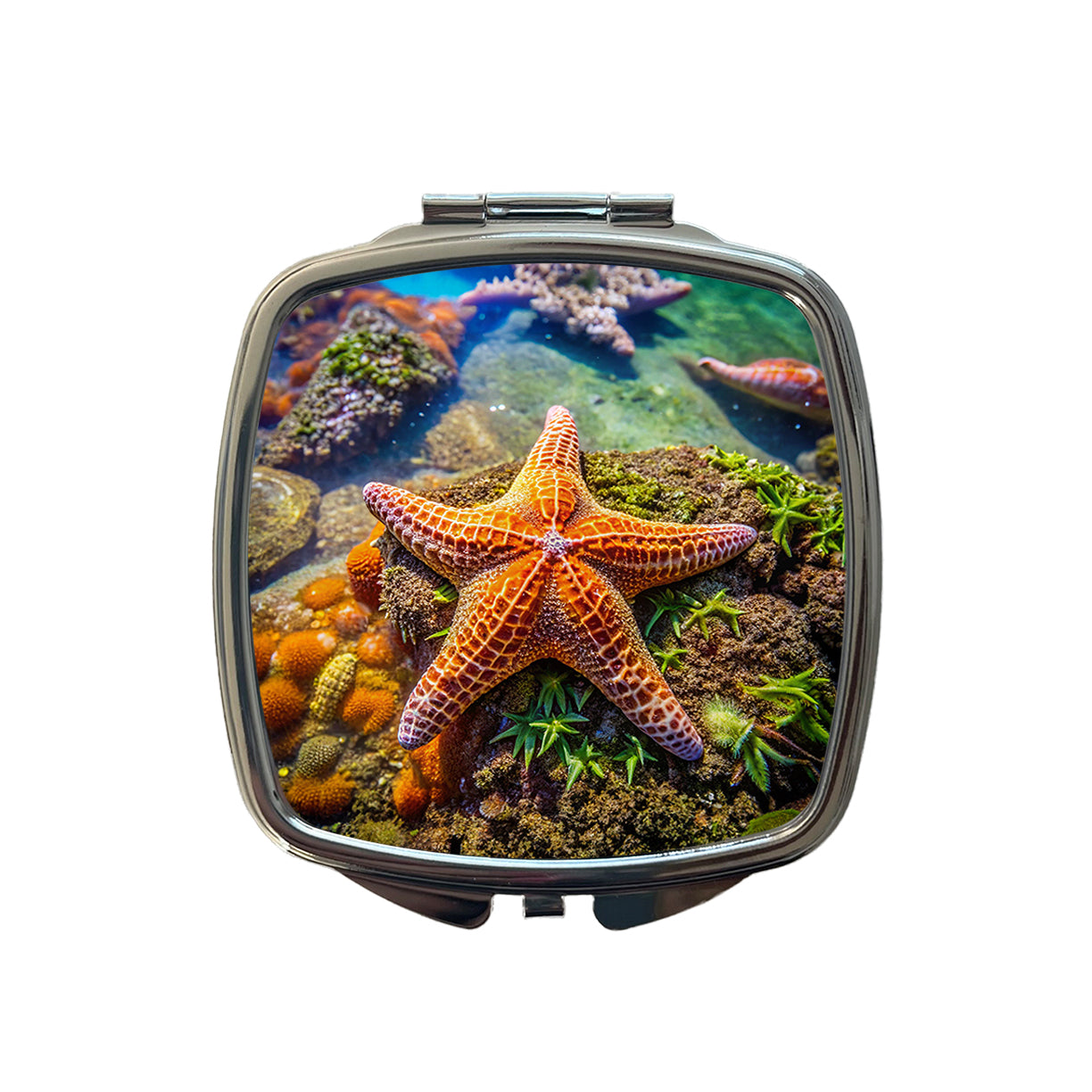 Starfish In Tide Pool Small Travel Purse Handbag Pocket Makeup Compact Mirror