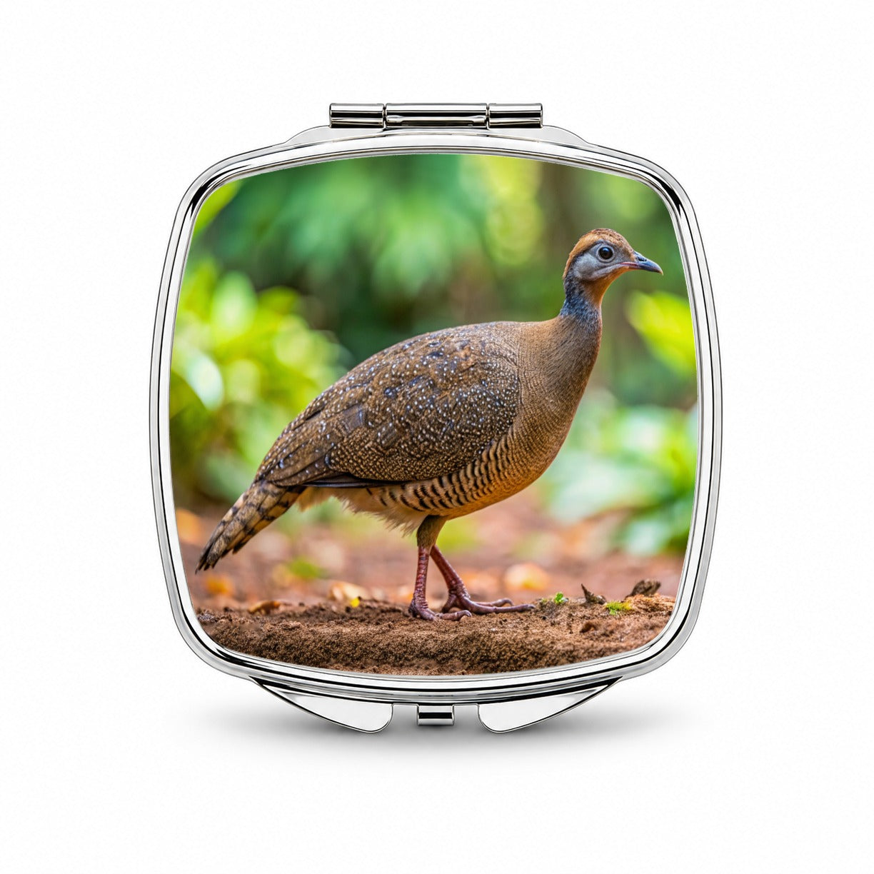Tinamou Bird Photo Small Travel Purse Handbag Pocket Makeup Compact Mirror