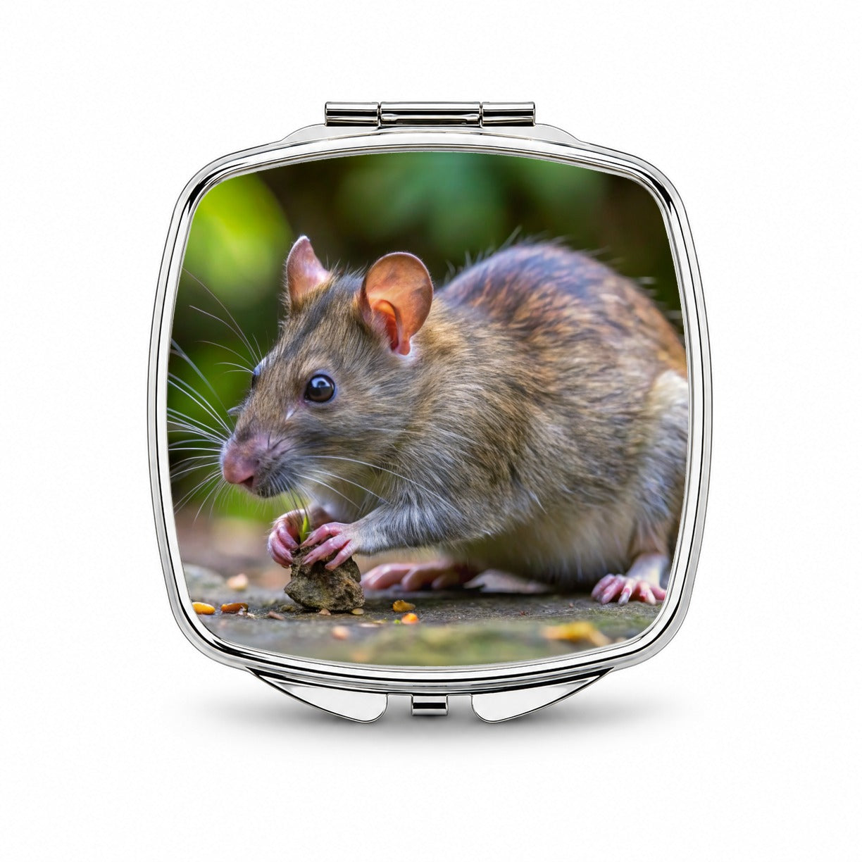 Pouch Rat Small Travel Purse Handbag Pocket Makeup Compact Mirror