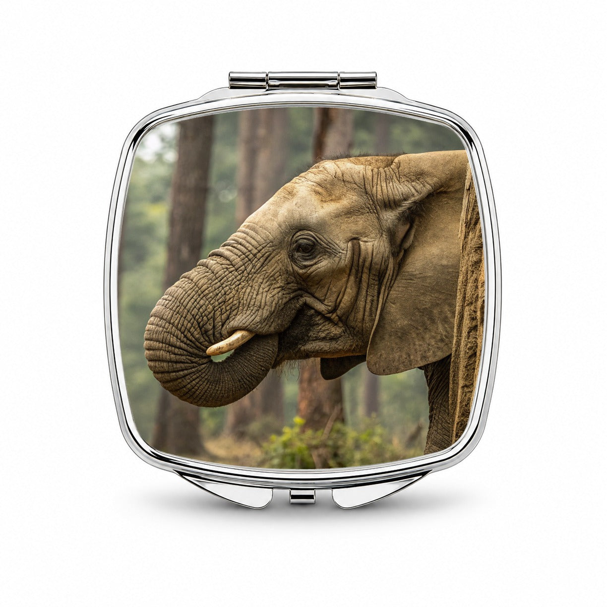 African Elephant Safari Wildlife Small Travel Purse Handbag Pocket Makeup Compact Mirror