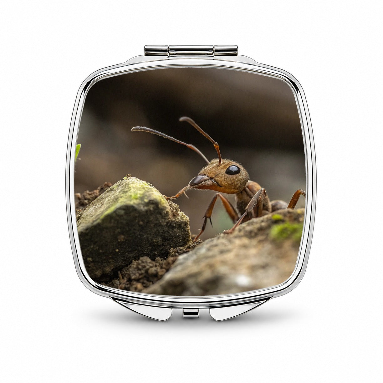 Ant Insect Nature Photo Small Travel Purse Handbag Pocket Makeup Compact Mirror