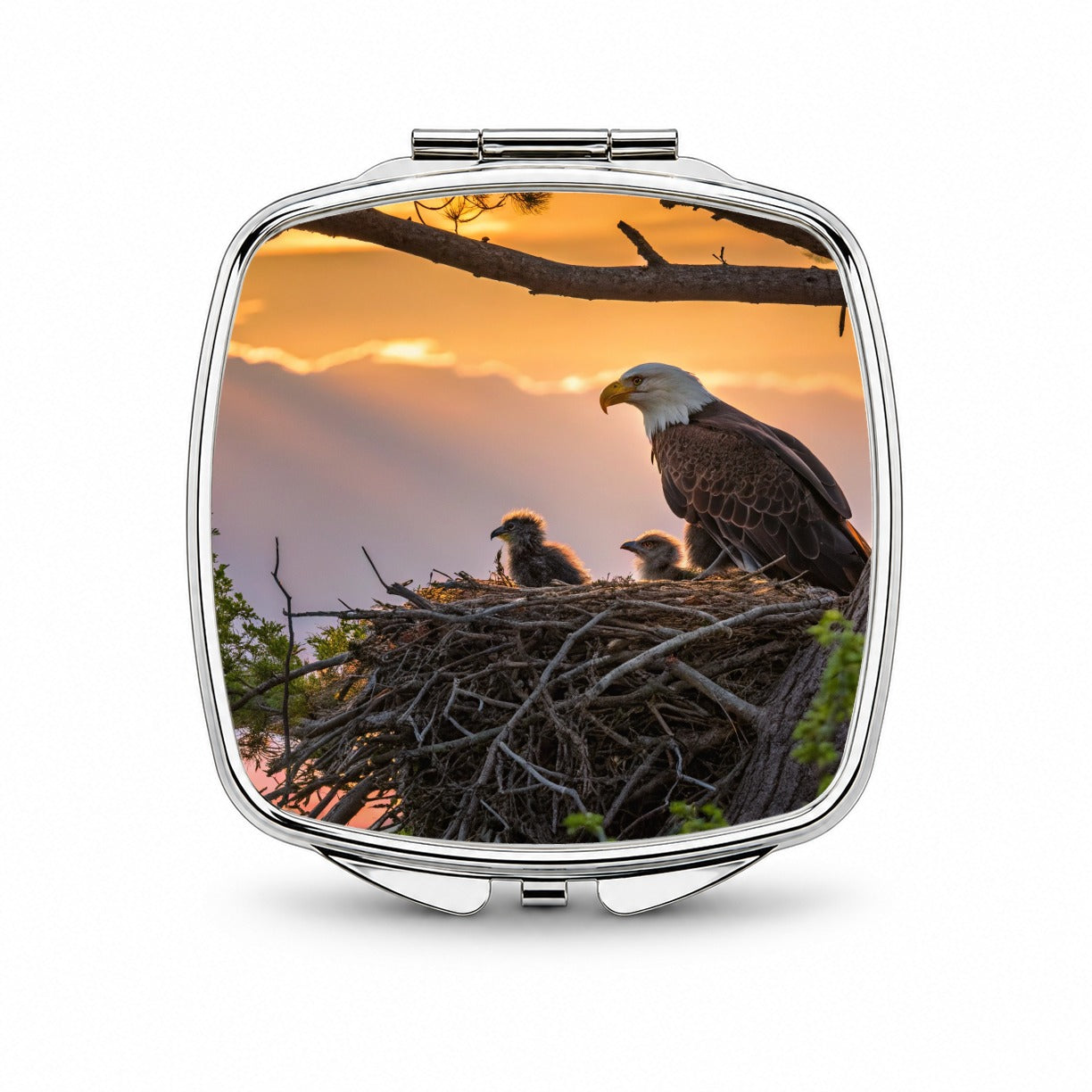 Bald Eagle Babies In Nest Sunset Small Travel Purse Handbag Pocket Makeup Compact Mirror