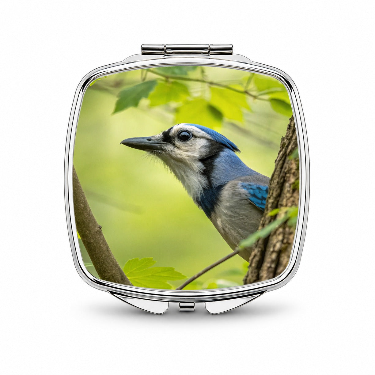 Blue Jay Bird Wildlife Small Travel Purse Handbag Pocket Makeup Compact Mirror