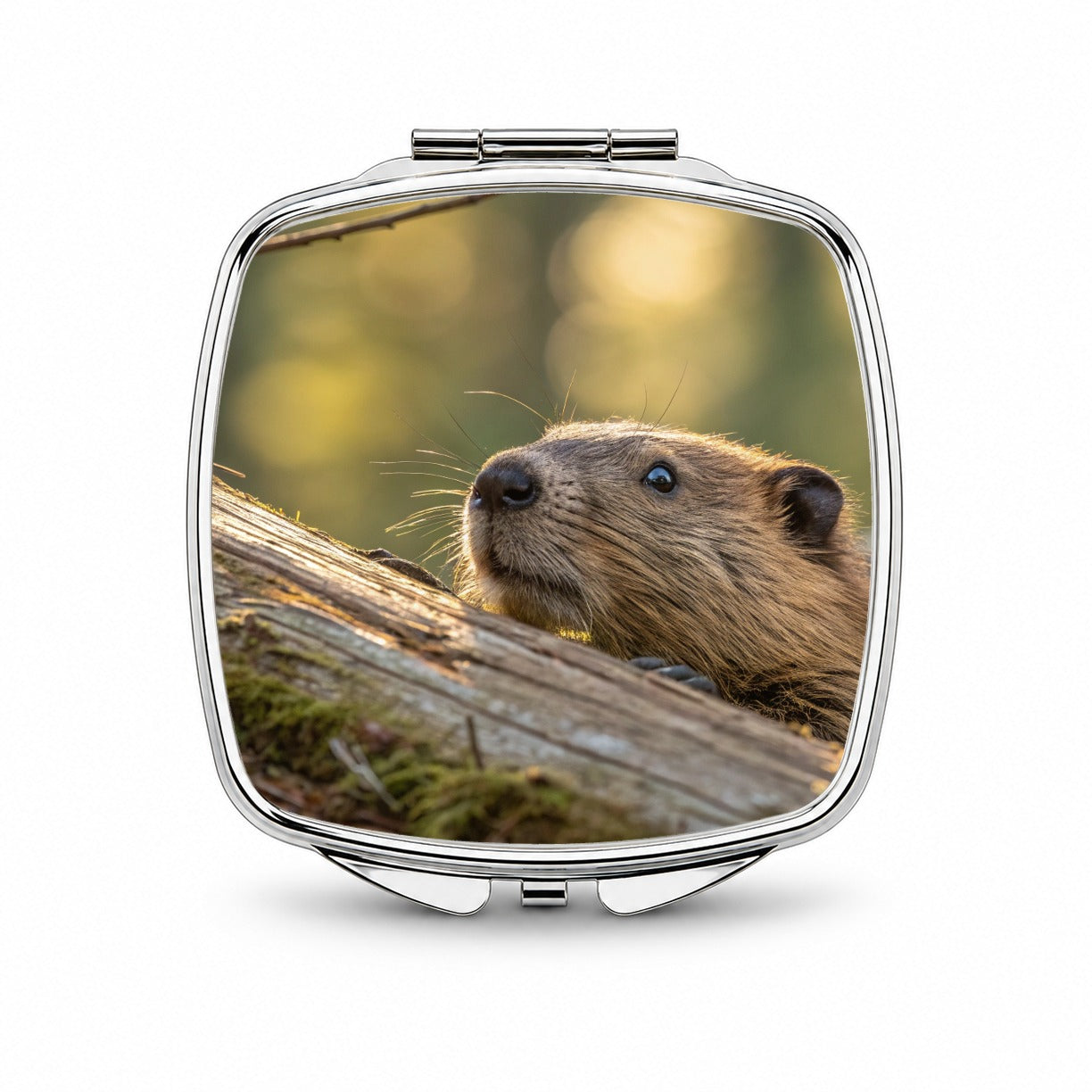 Curious Beaver Wildlife Nature Small Travel Purse Handbag Pocket Makeup Compact Mirror