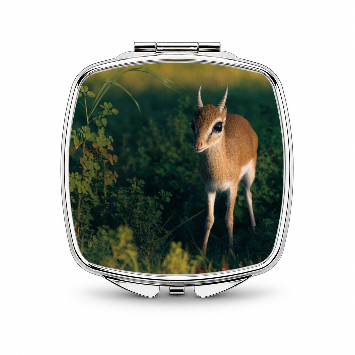 Dik-dik Antelope Small Travel Purse Handbag Pocket Makeup Compact Mirror