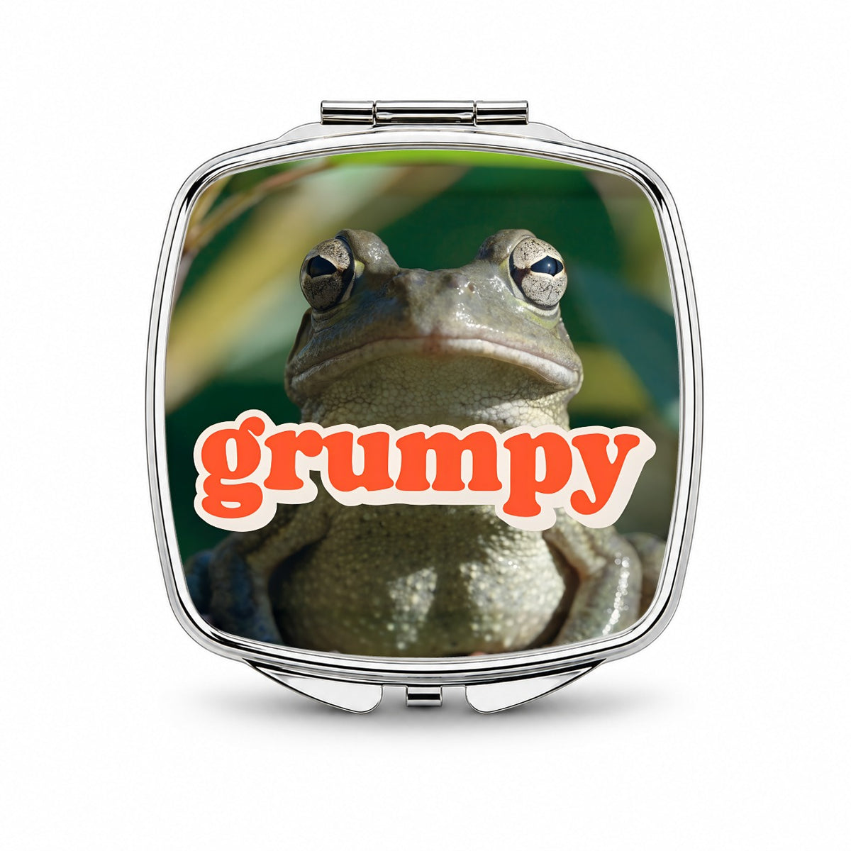 Grumpy Frog Funny Small Travel Purse Handbag Pocket Makeup Compact Mirror