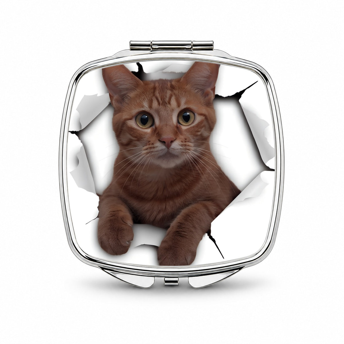 Orange Cat Breakout Small Travel Purse Handbag Pocket Makeup Compact Mirror
