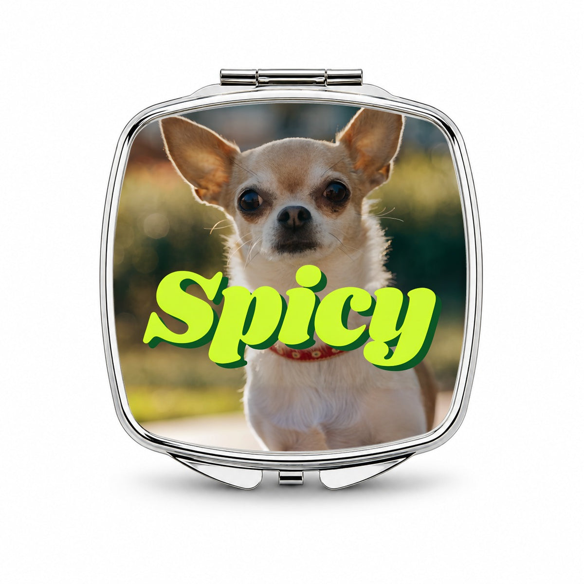 Spicy Chihuahua Dog Funny Small Travel Purse Handbag Pocket Makeup Compact Mirror