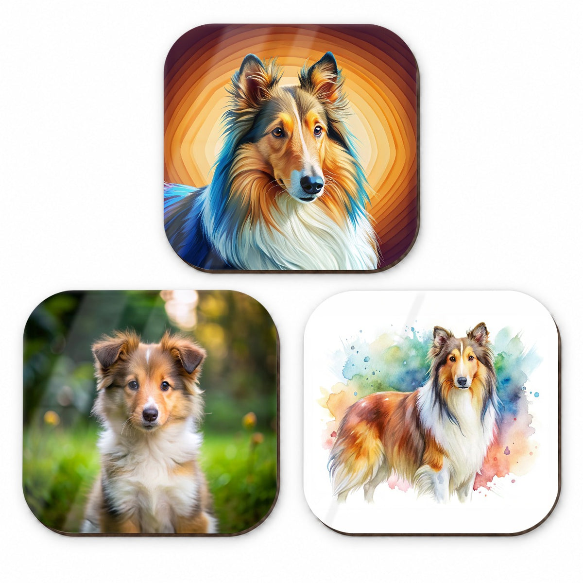 Collie Dog Modern Photo Art Fridge Magnet Set