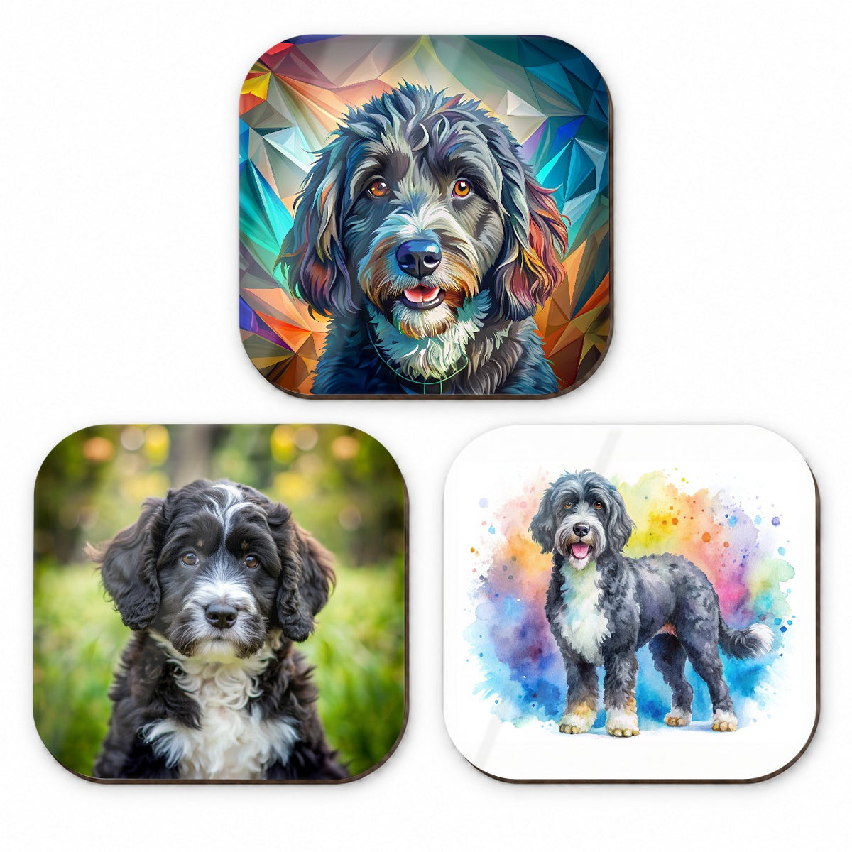 Portuguese Water Dog Modern Photo Art Fridge Magnet Set