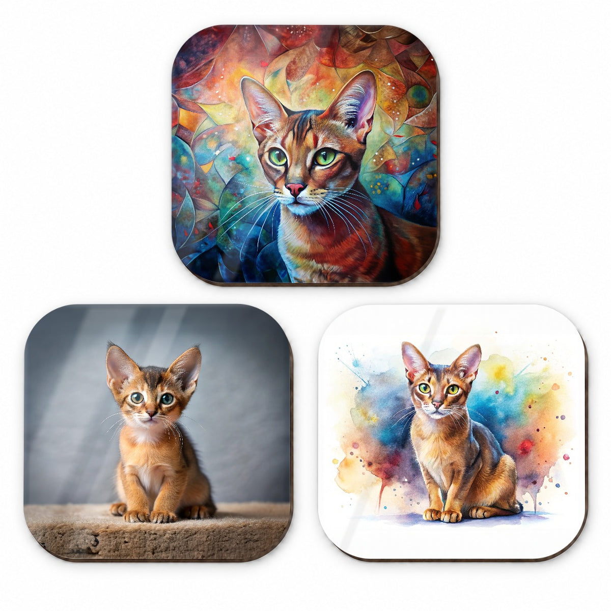 Abyssinian Cat Modern Photo Art Fridge Magnet Set
