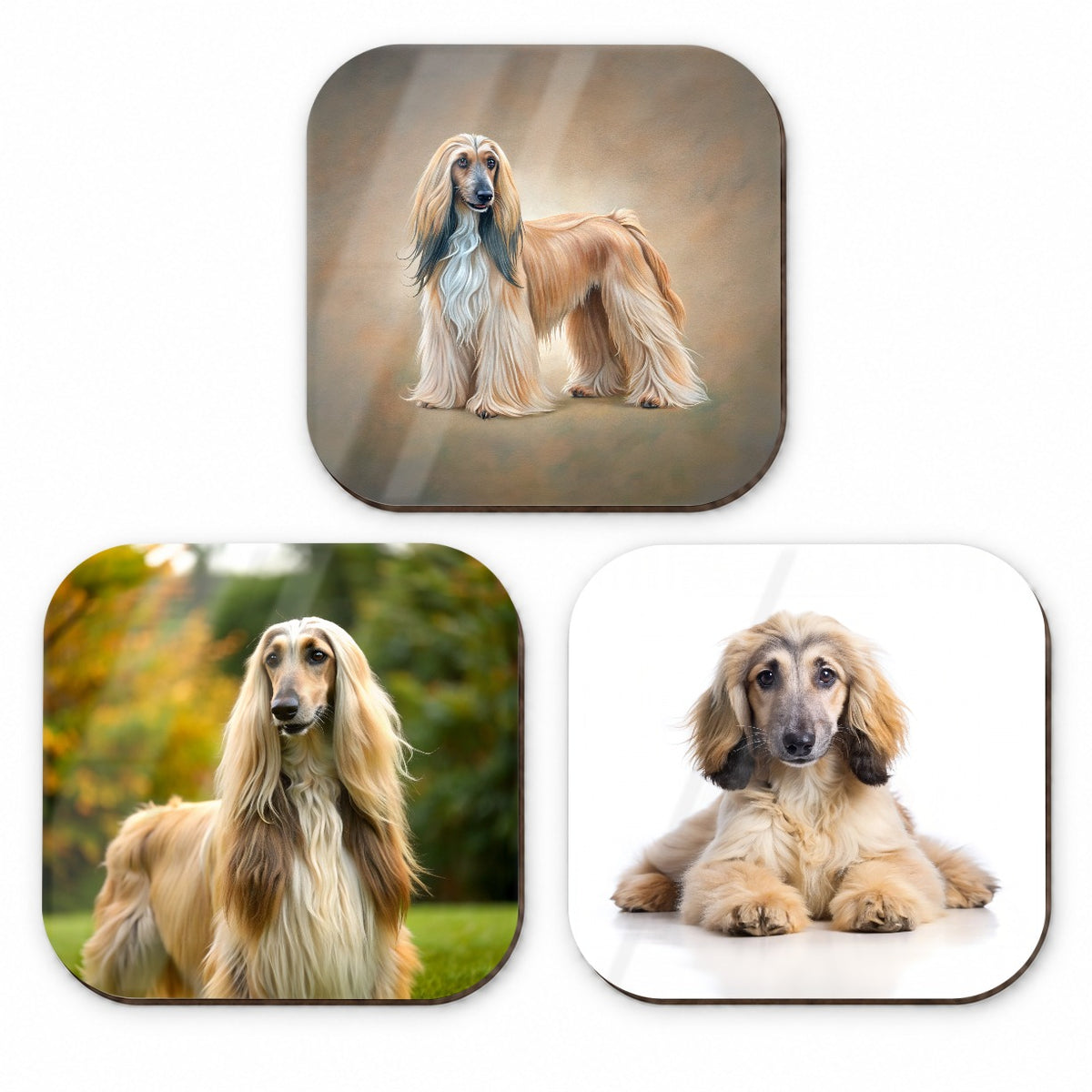 Afghan Hound Dog Photo Illustration Fridge Magnet Set