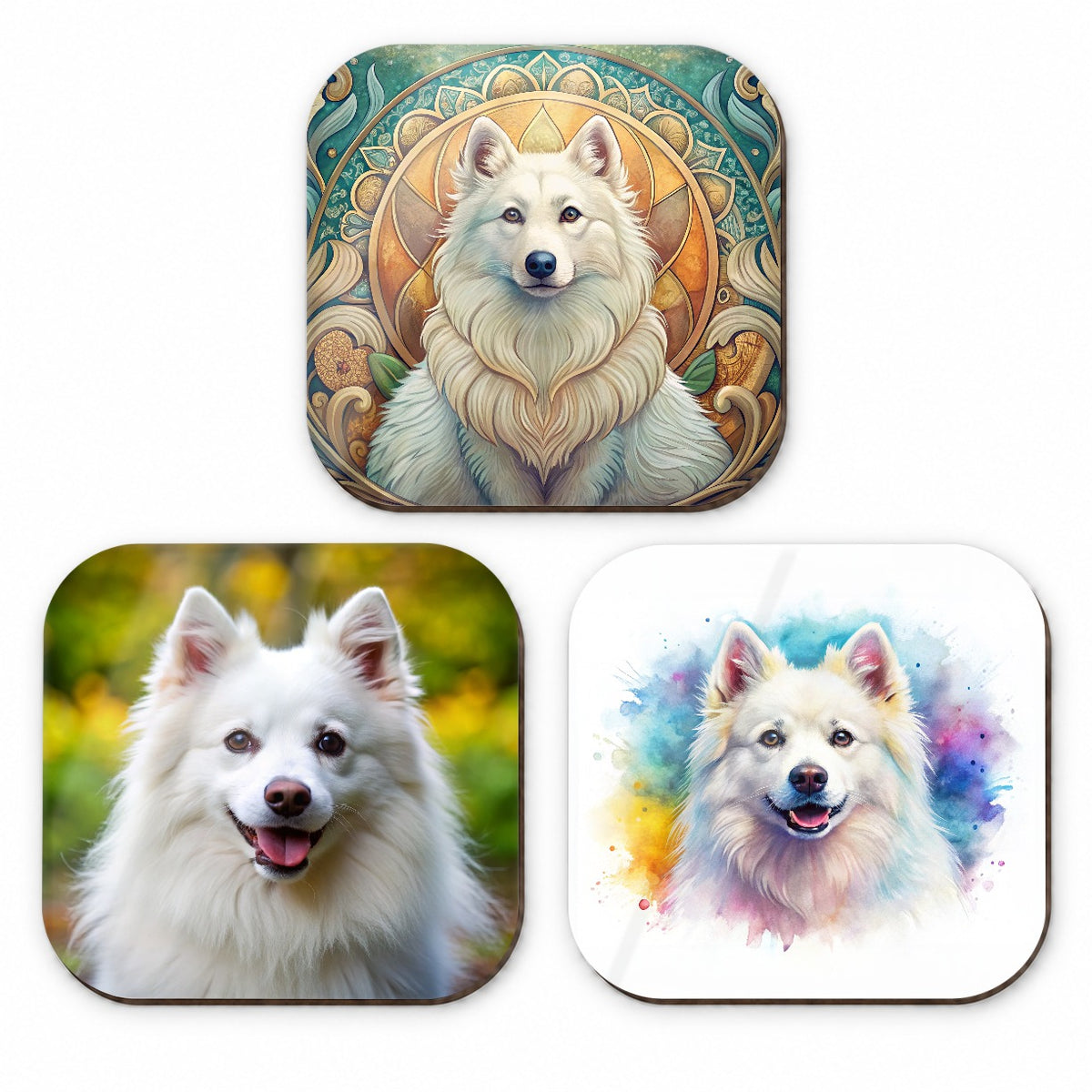 American Eskimo Dog Modern Photo Art Fridge Magnet Set