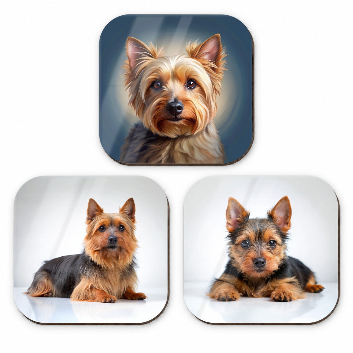 Australian Terrier Dog Photo Illustration Fridge Magnet Set