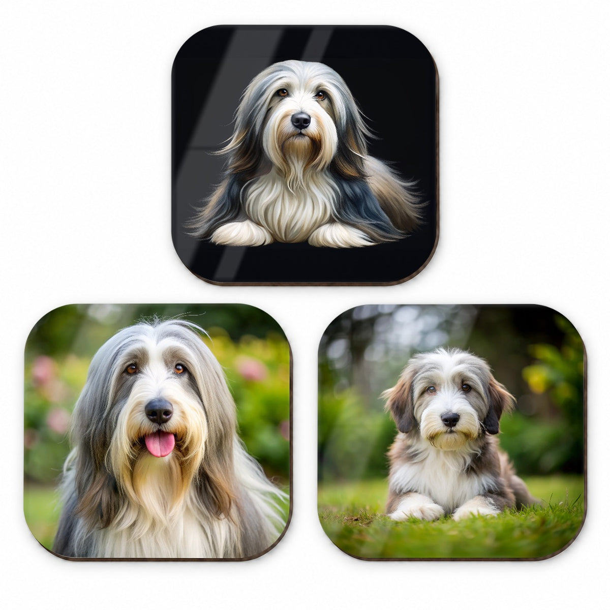 Bearded Collie Dog Photo Illustration Fridge Magnet Set