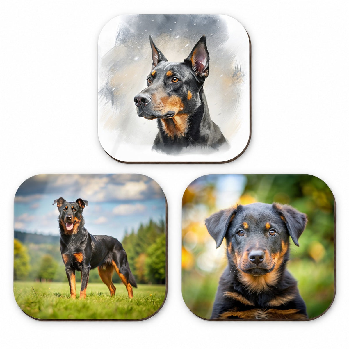 Beauceron Dog Photo Illustration Fridge Magnet Set