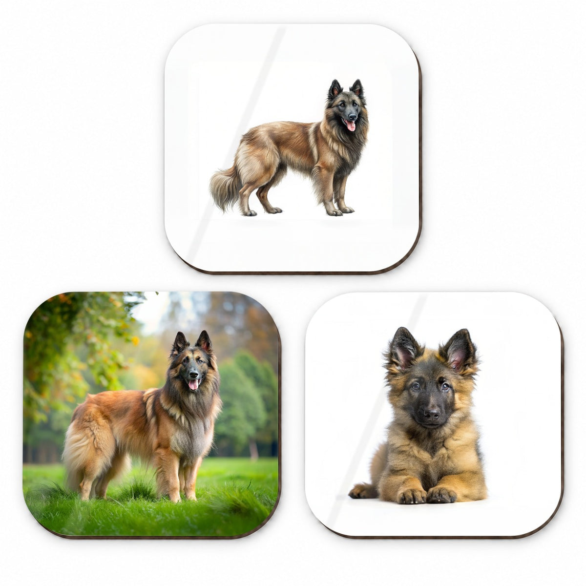 Belgian Tervuren Dog Photo Illustration Fridge Magnet Set