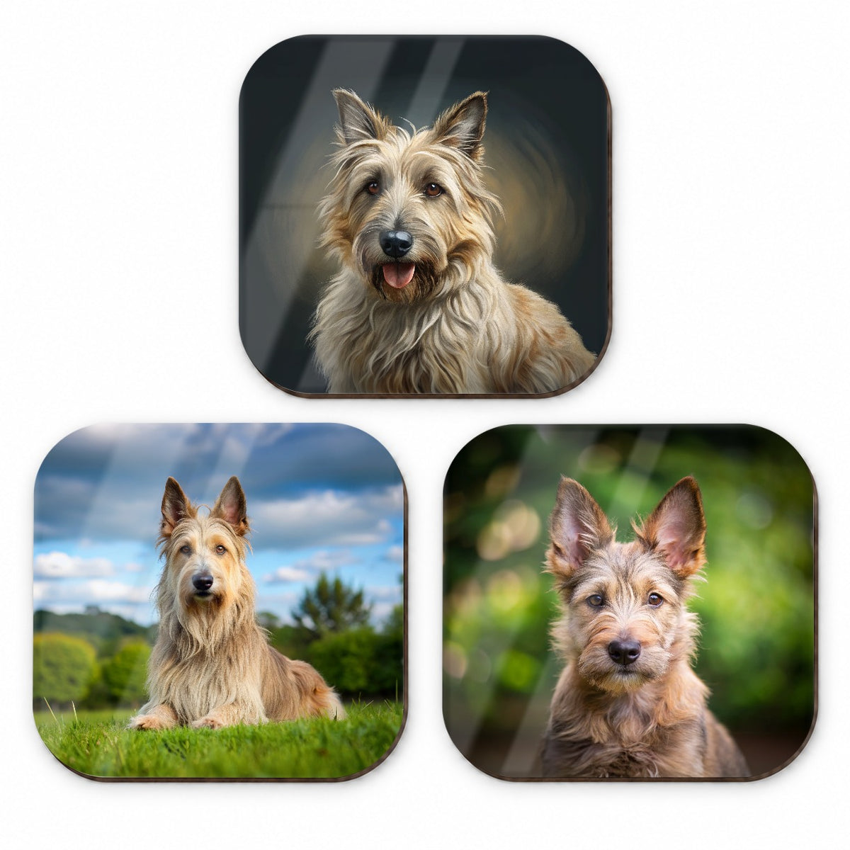 Berger Picard Dog Photo Illustration Fridge Magnet Set