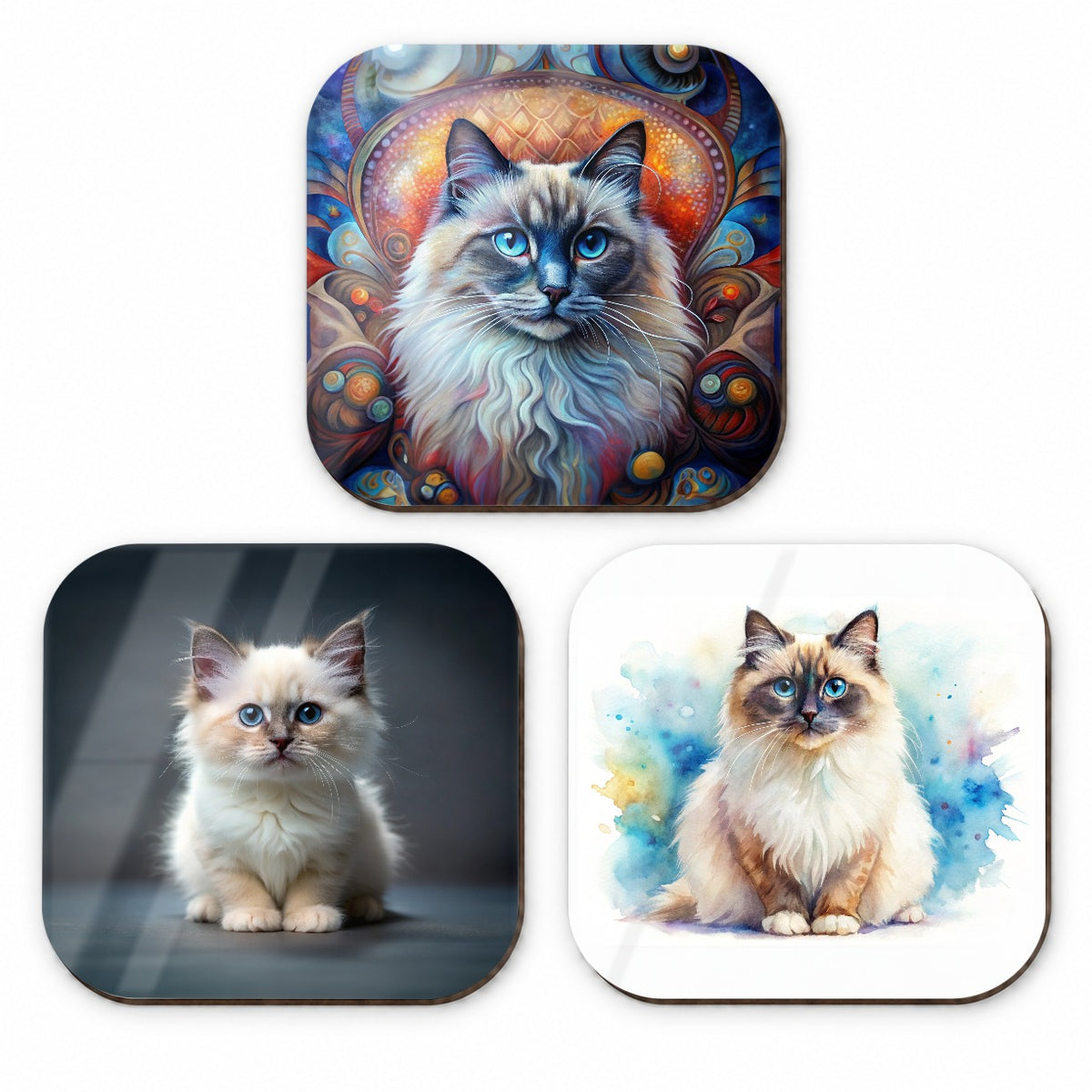 Birman Cat Modern Photo Art Fridge Magnet Set