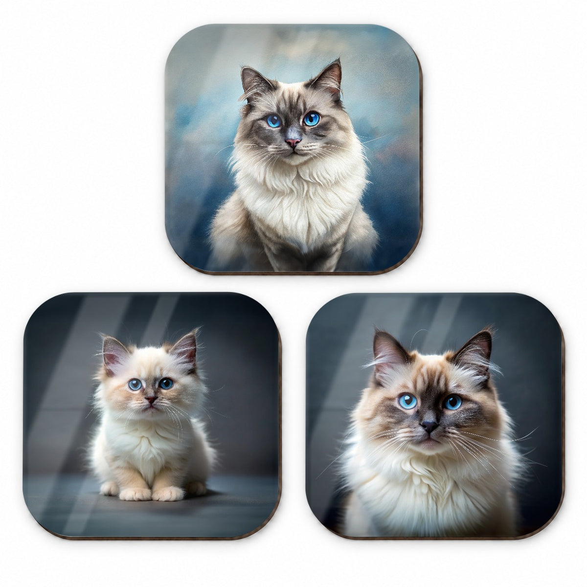 Birman Cat Photo Illustration Fridge Magnet Set