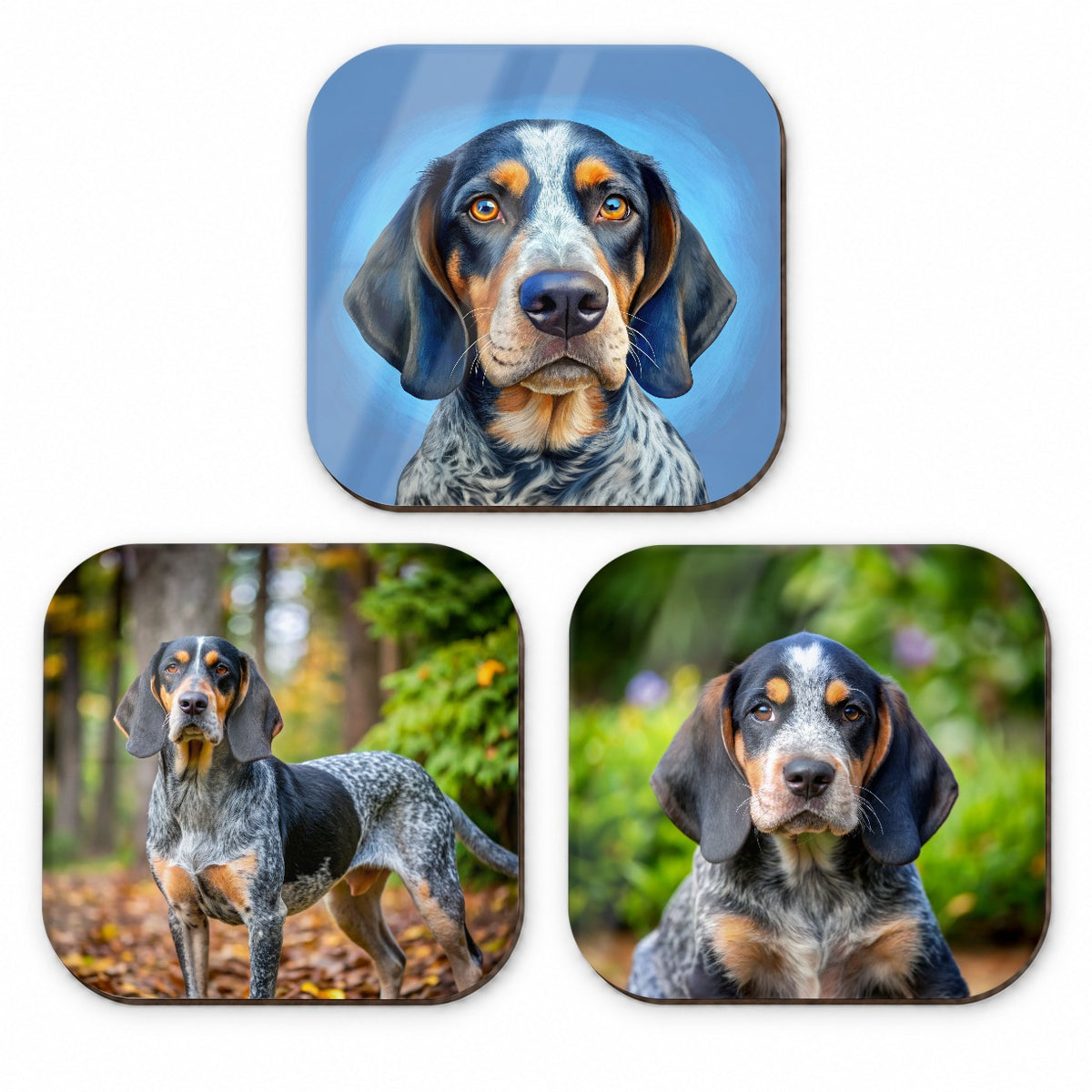 Bluetick Coonhound Dog Photo Illustration Fridge Magnet Set