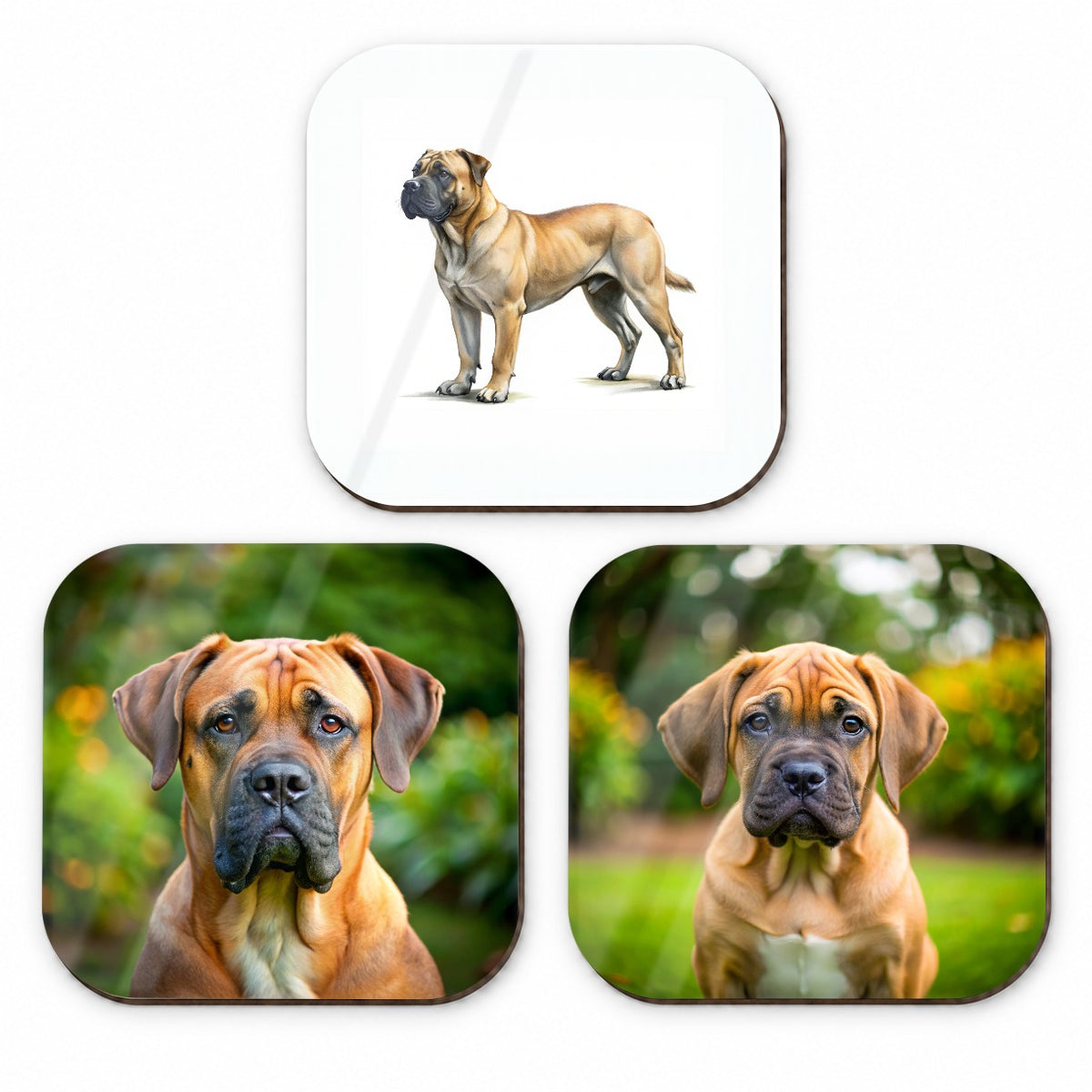 Boerboel Dog Photo Illustration Fridge Magnet Set