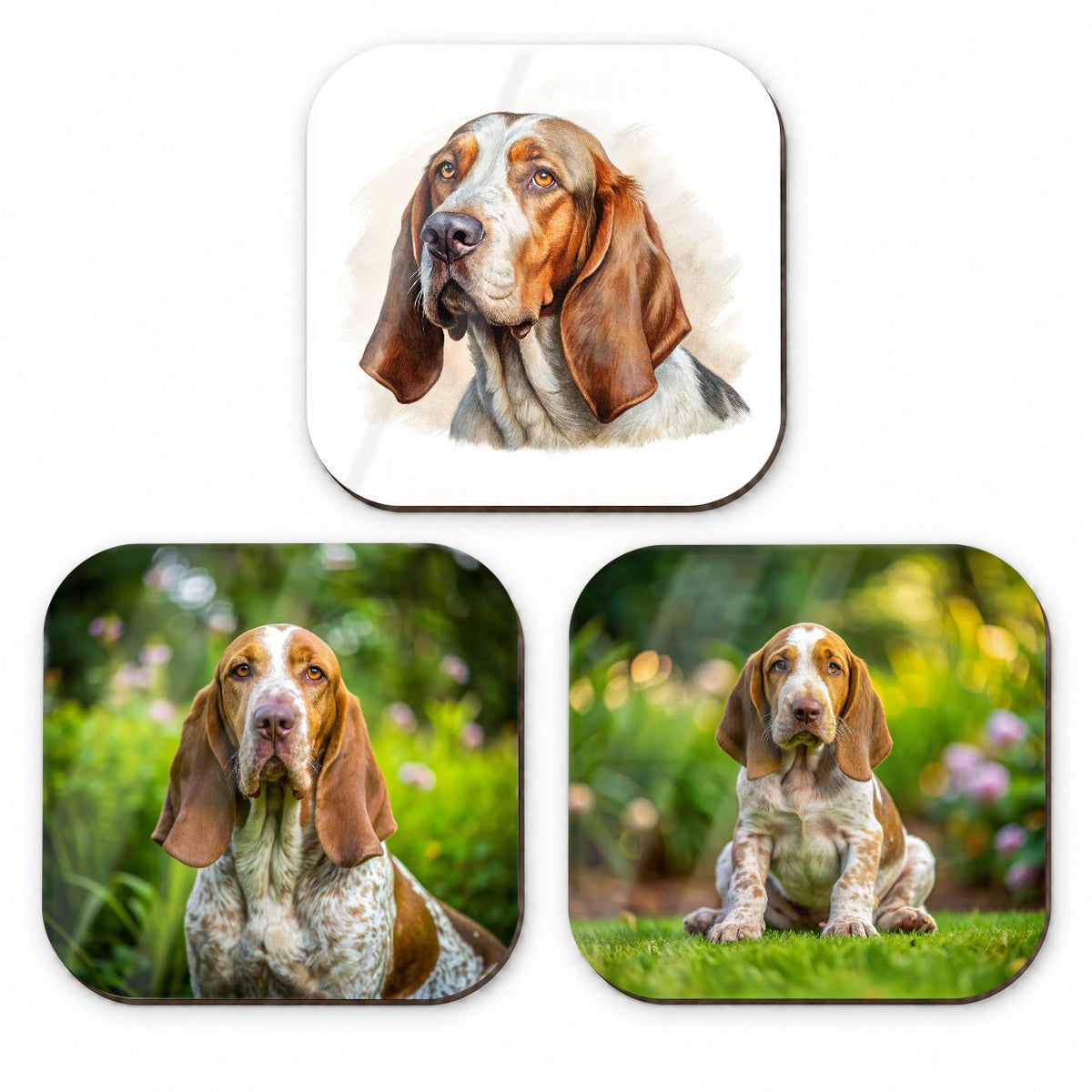 Bracco Italiano Dog Photo Illustration Fridge Magnet Set