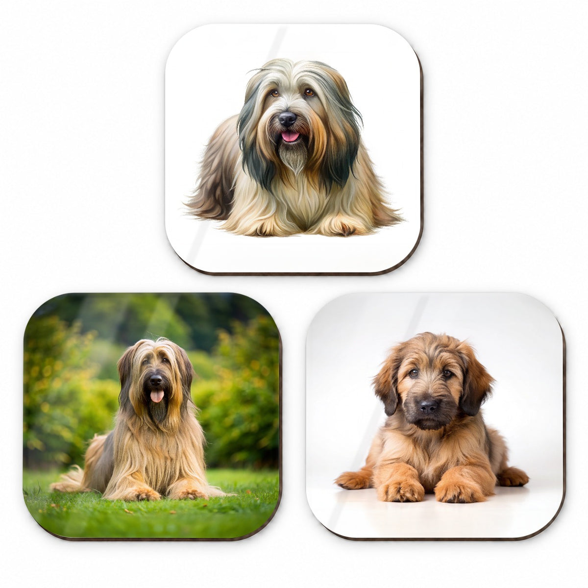 Briard Dog Photo Illustration Fridge Magnet Set