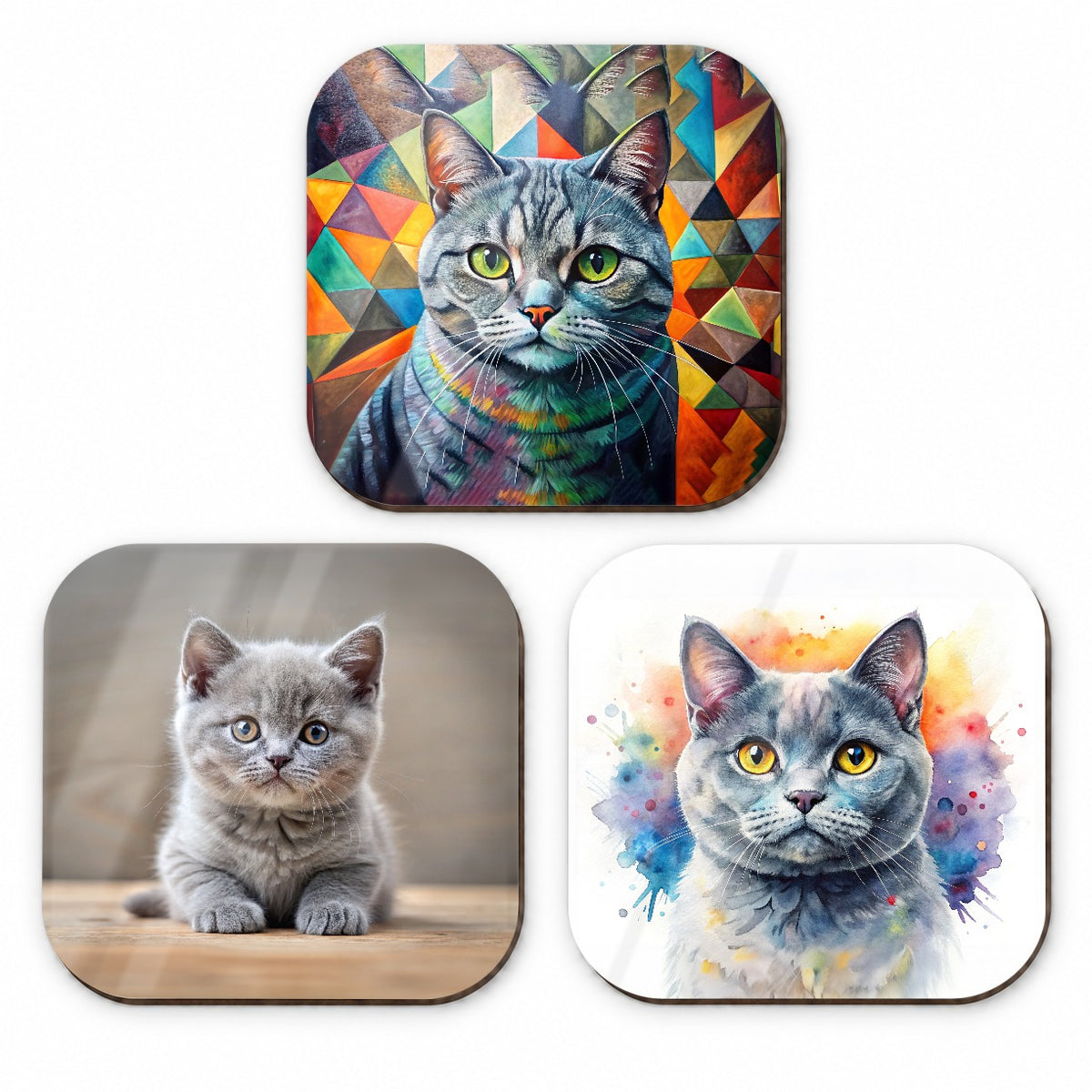 British Shorthair Gray Cat Modern Photo Art Fridge Magnet Set
