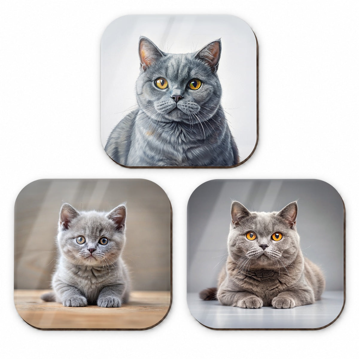 British Shorthair Gray Cat Photo Illustration Fridge Magnet Set