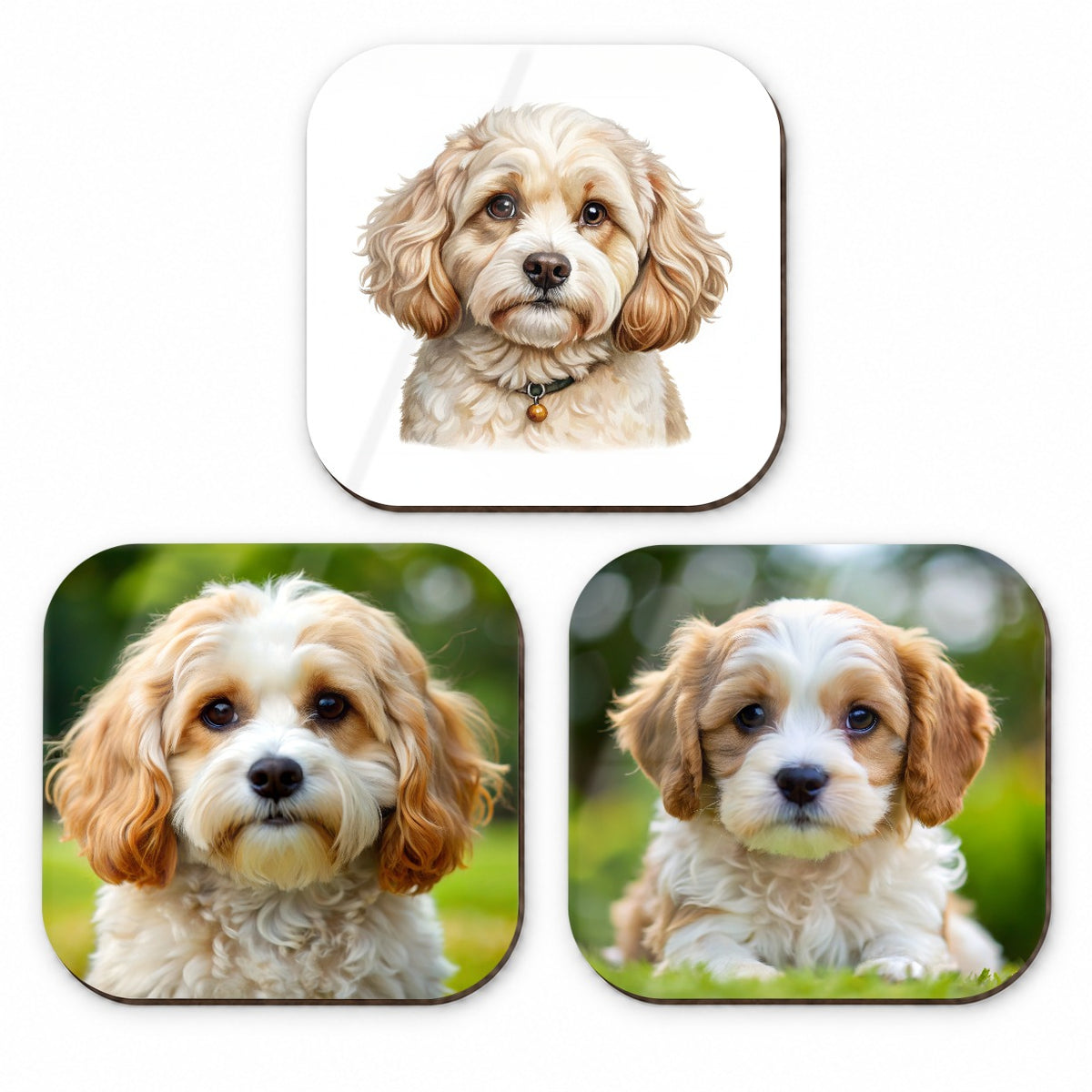 Cavachon Dog Photo Illustration Fridge Magnet Set