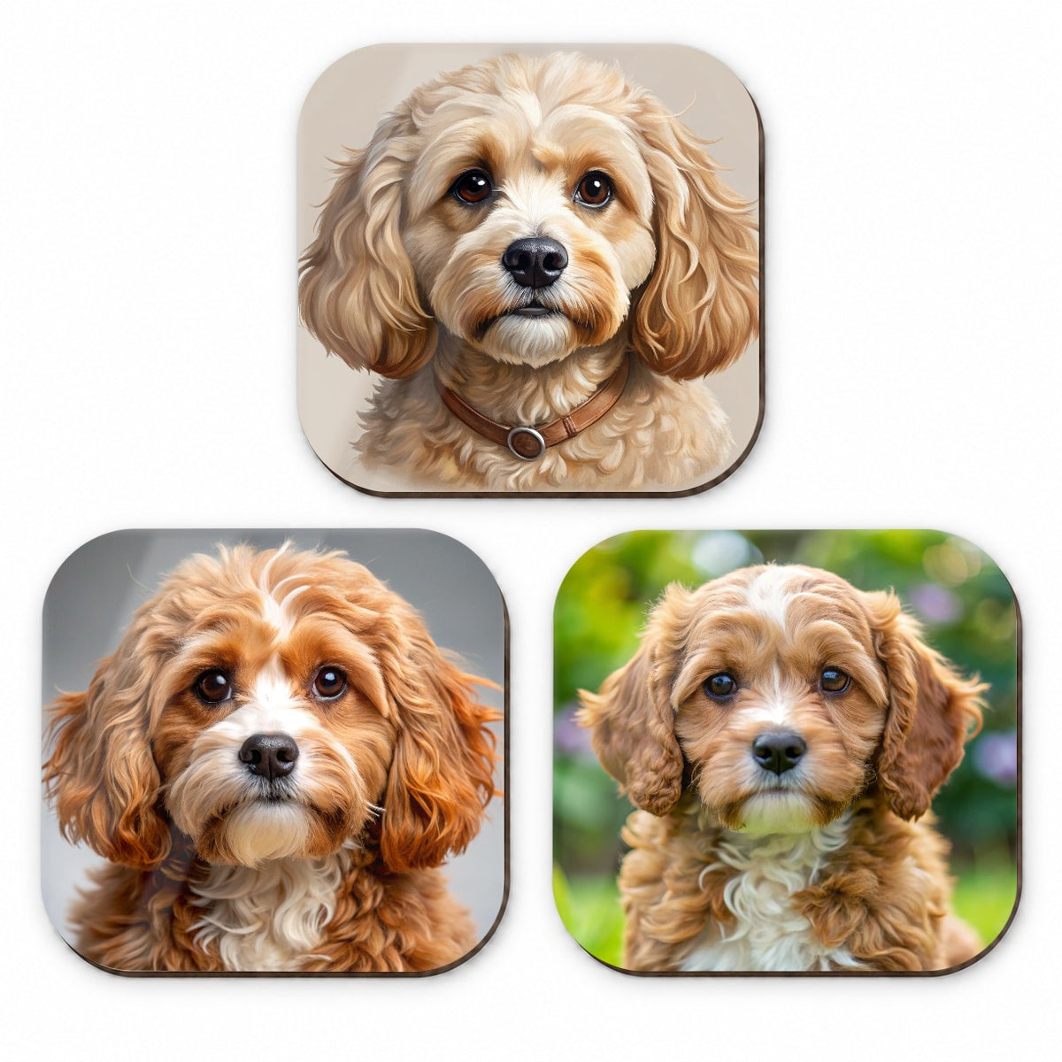 Cavapoo Dog Photo Illustration Fridge Magnet Set