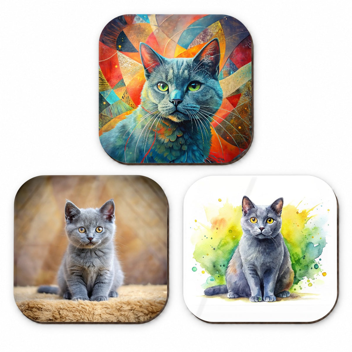 Chartreux Cat Modern Photo Art Fridge Magnet Set
