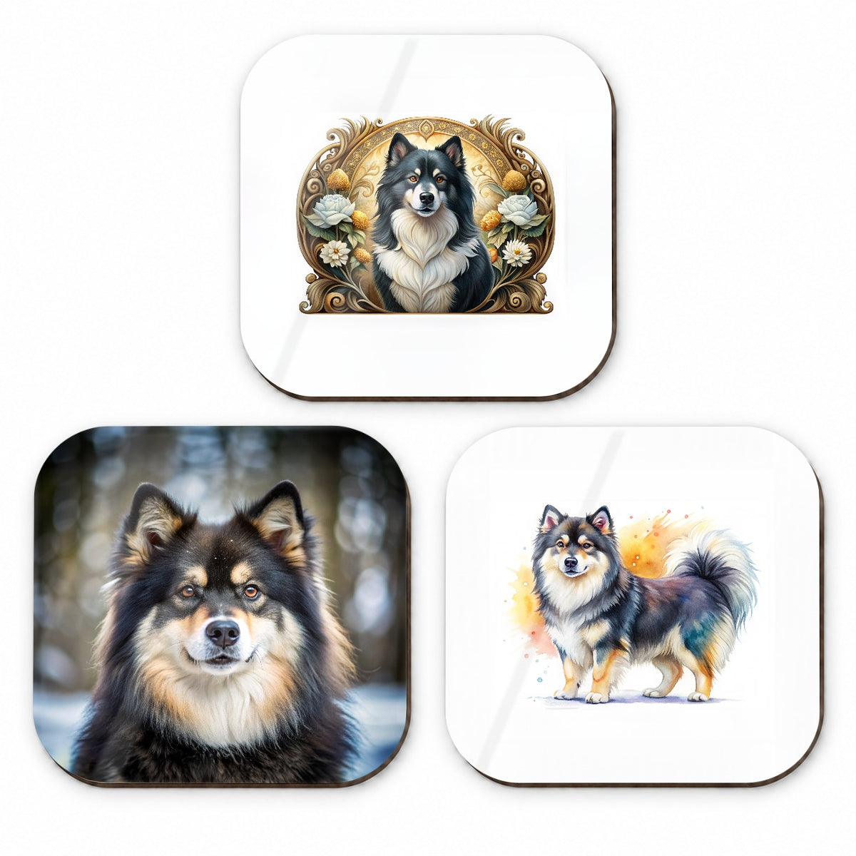 Finnish Lapphund Dog Modern Photo Art Fridge Magnet Set