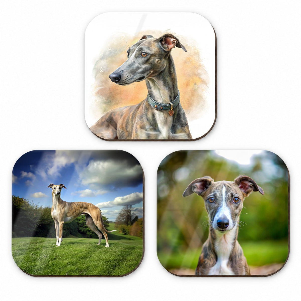 Greyhound Dog Photo Illustration Fridge Magnet Set