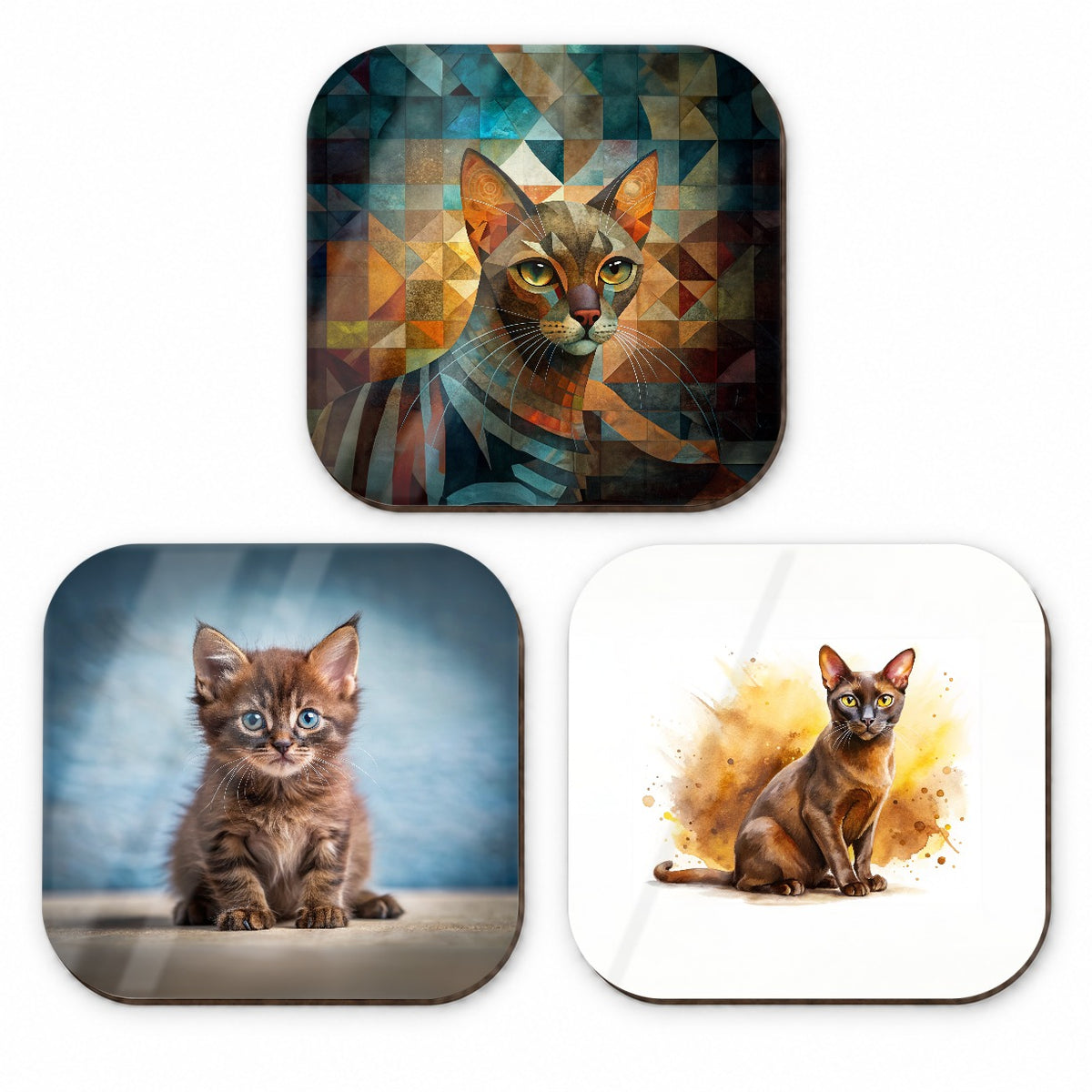 Havana Brown Cat Modern Photo Art Fridge Magnet Set
