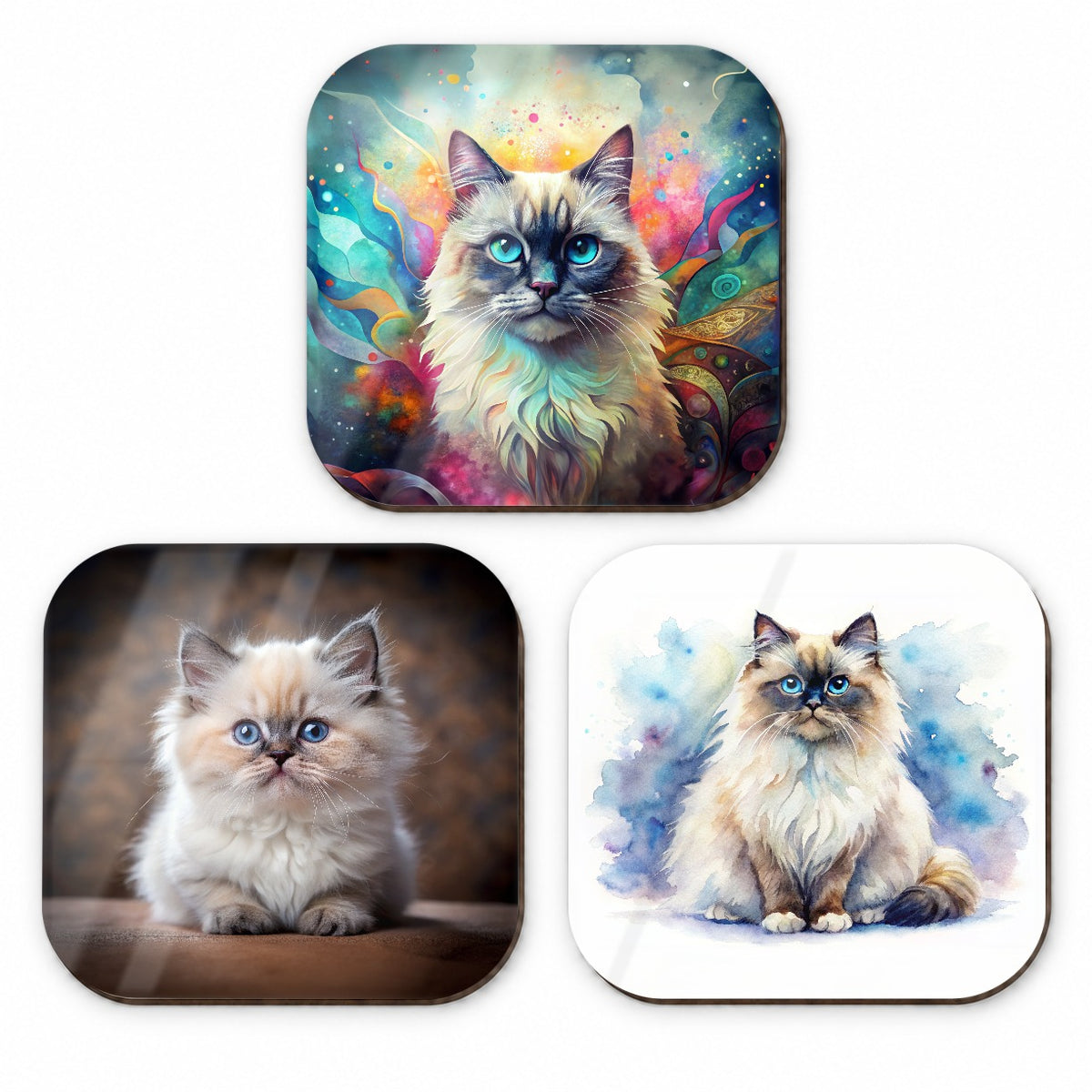 Himalayan Cat Modern Photo Art Fridge Magnet Set