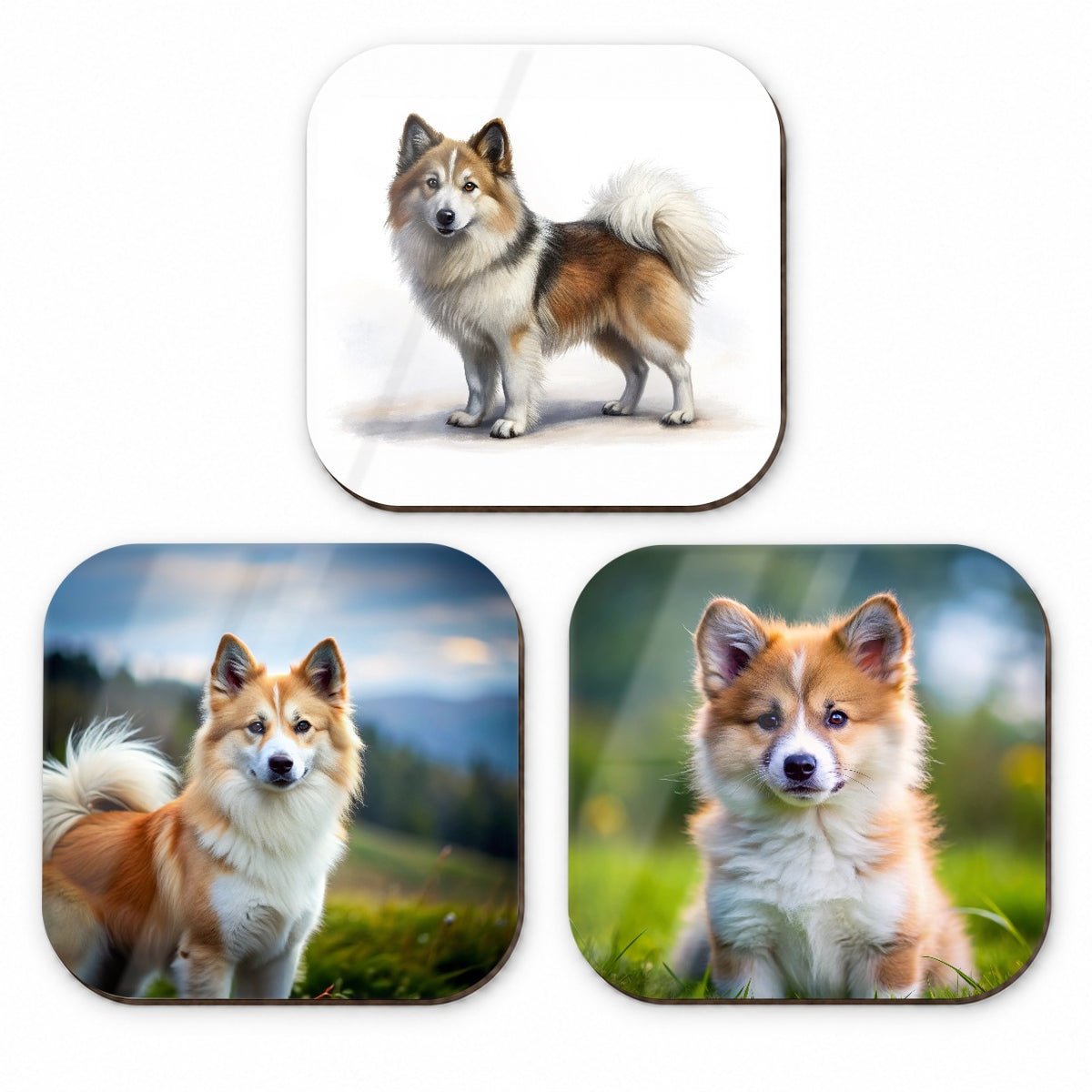 Icelandic Sheepdog Dog Photo Illustration Fridge Magnet Set